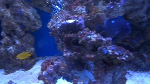 Прогулка по Зоопарку, Ростов на Дону, Сентябрь.