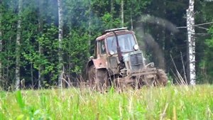 Посев полей для кабана и медведя.