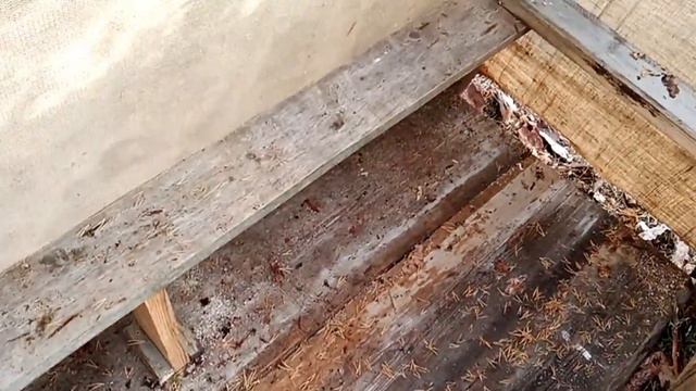 засидка для охоты на гуся
