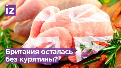 В Британии дефицит куриного мяса / Известия