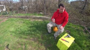 НЕ ПОВТОРЯЙТЕ НАШИ ОШИБКИ / Чем вычесать собаку?