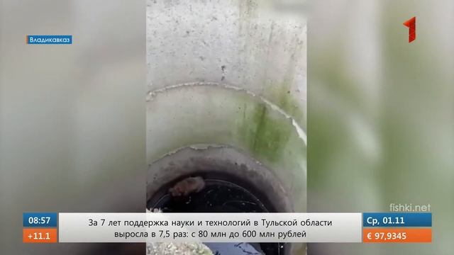 УТРО НА ПЕРВОМ ТУЛЬСКОМ ОТ 01.11.2023 смотреть онлайн