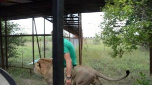 Встреча с Геком ! Нежданчик :)) Тайган .Крым