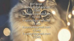 Даю аккаунты wild craft на 200 lvl с мистиками