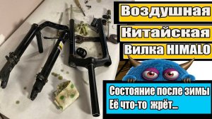 Воздушная китайская вилка Himalo после "зимы".