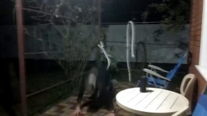 Супер пресс за 30 дней КОНЕЦ/Уничтожение от Павла Бабича