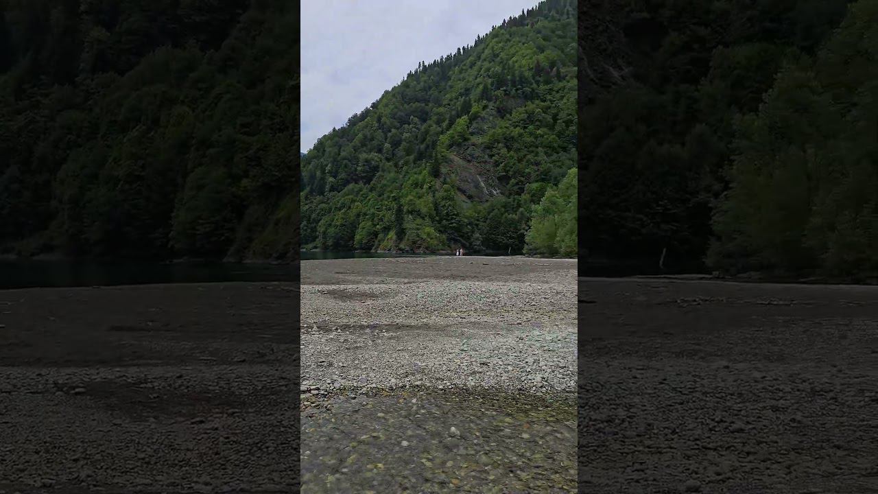 Абхазия, ручьи впадающие в озеро Рица. Abkhazia, streams flowing into Lake Ritsa #абхазия #озерорица