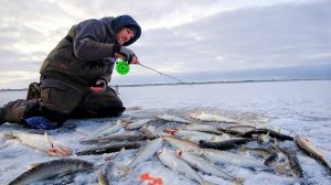 НА КРАЙ СВЕТА на ПЕРВЫЙ ЛЁД!  Начало зимней рыбалки в ЗАПОЛЯРЬЕ