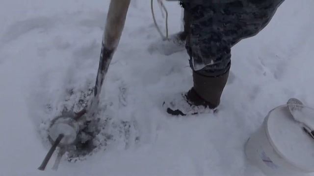 Щука на жерлицы по первому льду 14.11.2017 смотреть онлайн
