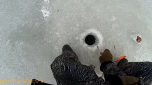 Первый лёд 2017. Подводная съёмка!!!.  Ловля ратана на сало. Оз. сковородка( Омская область).