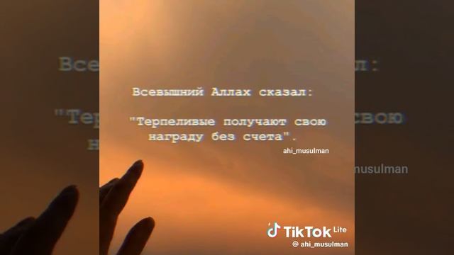 мусульманские цитаты