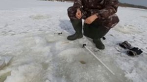 Зимняя рыбалка на Клязьме.