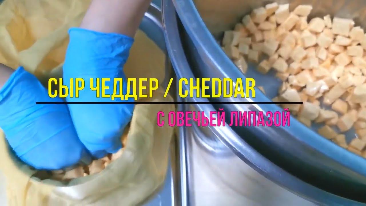 Сыр Чеддер  с Овечьей липазой ( Авторская рецептура Ольги Елисеевой ) / Как сделать Сыр Дома