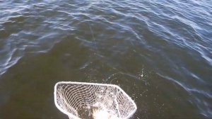 Рыбалка 19 джиг на Волге Щука на 4 кг.