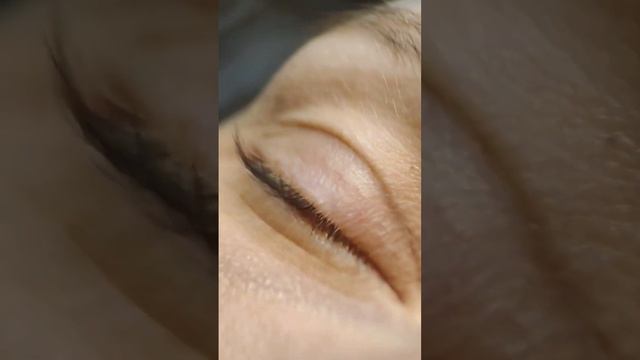 Ламинирование+ботокс ресниц от мастера студии #бровиспб #ресницыспб #ламинированиересницспб смотреть онлайн