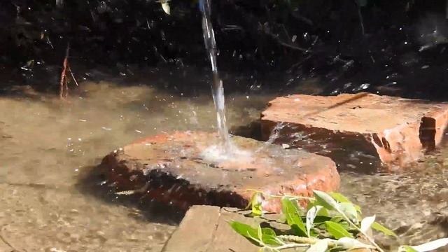 "Природа родного края", Калымтаева Алина, 8 класс смотреть онлайн