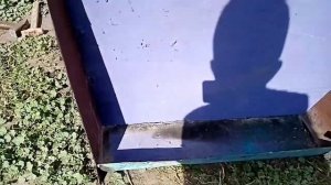 #Свиньи как бизнес"Бункерная кормушка"