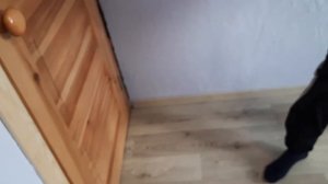 Установка наличников своими руками.