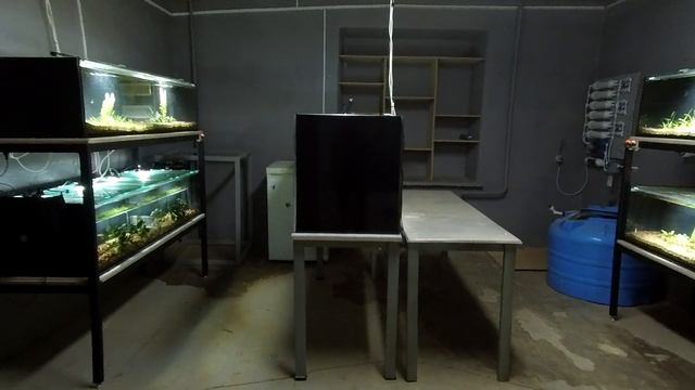 Строительство рыборазводни часть 4