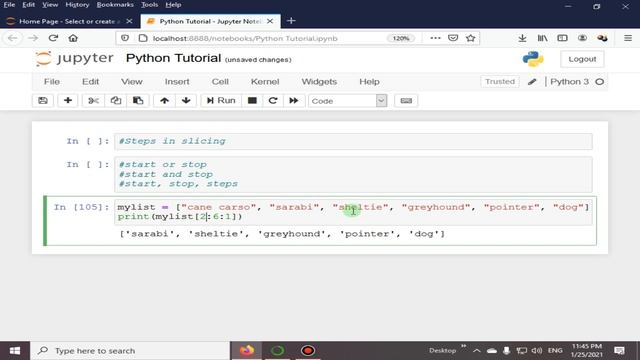 Steps In Slicing A List | Python 4 You | Lecture 97
