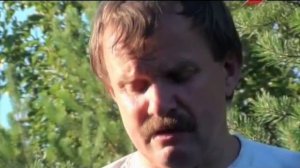 Бессмертник песчаный или цмин песчаный