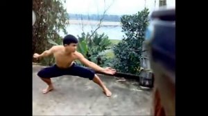 Вьетнамское Кунг фу.Удары ногами 2