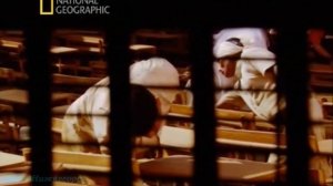 Взгляд изнутри (Крупнейшая тюрьма Азии) / Inside Asia's Large Jail