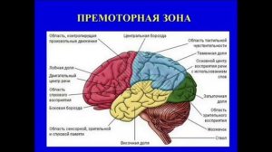 Хосроева- магический ВЫКИДЫШ