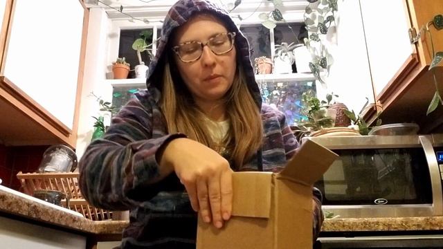 The People's Plants....AGAIN смотреть онлайн