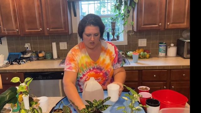 Mixing up Semi-hydroponic solution and a rehab Orchid