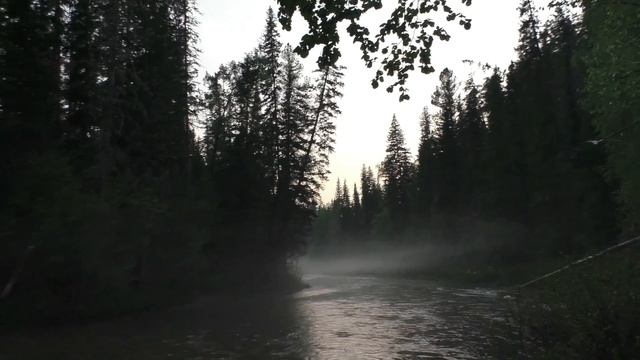 20часть ДЕВСТВЕННАЯ ТАЙГА ВИДЫ Красивые таежные пейзажи Туман Талисман ЛЕШИЙ УХА ЧЕМЕРИЦА Рыбалка 2 смотреть онлайн