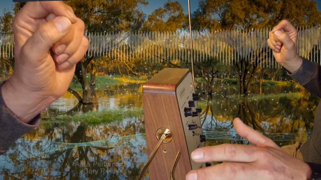 Theremin: SPIEGEL IM SPIEGEL by Arvo Pārt. Arr & Performed by Gary P Hayes on Claravox Centennial смотреть онлайн