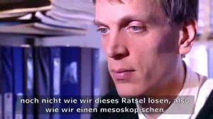 Piet Wibertus Brouwer - Alexander von Humboldt-Professur 2009 (DE)