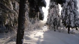 Снег идет на улице давно