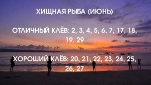 ДНИ ХОРОШЕГО КЛЁВА В ИЮНЕ, ИЮЛЕ 2022. Лунный календарь рыболова 2022, отличные дни рыбалки