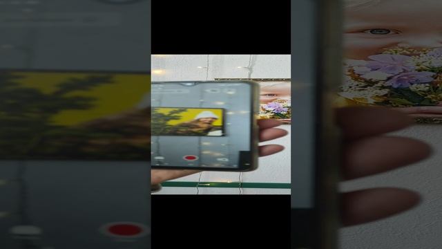 лайф-пластинка холст.mp4