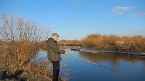 Хороший клёв крупного ельца и плотвы на поплавок на малой реке в тихом месте .