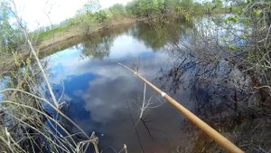 Ловля рыбы на боковой кивок( на дергалку)