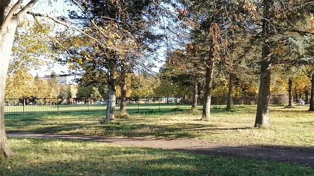 Санкт-Петербург. Южно-Приморский парк. Пруд "Восьмёрка". 21.10.2023.