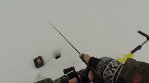 ОСТОРОЖНО, ЗЛЫЕ СУДАЧКИ! Зимняя рыбалка, ловля судака на балансир, раттлин и блесну