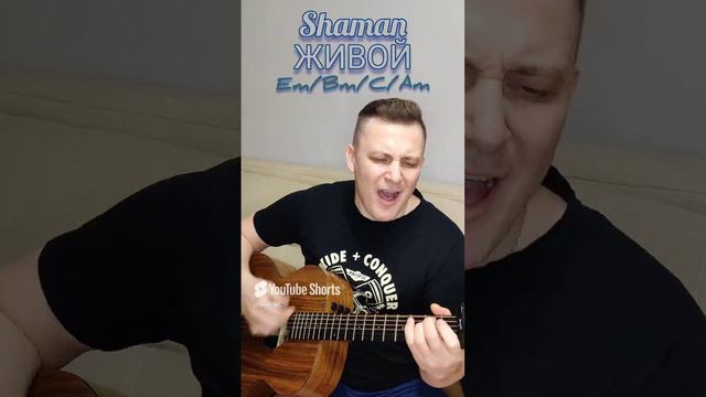 Shaman - Живой. Новая песня Шамана на гитаре.#coverguitar #гитарист #shortsvideo