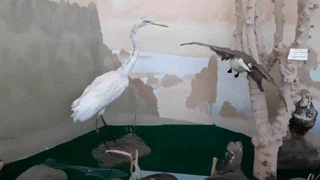 МУЗЕИ:Н.М.ПРЖЕВАЛЬСКОГО и К.КАРАСАЕВА.?МОГИЛА ПРЖЕВАЛЬСКОГО?ЭКСКУРСИЯ ОТ ПОДРУГИ?ПРИСТАНЬ-ПРЖЕВАЛЬС смотреть онлайн