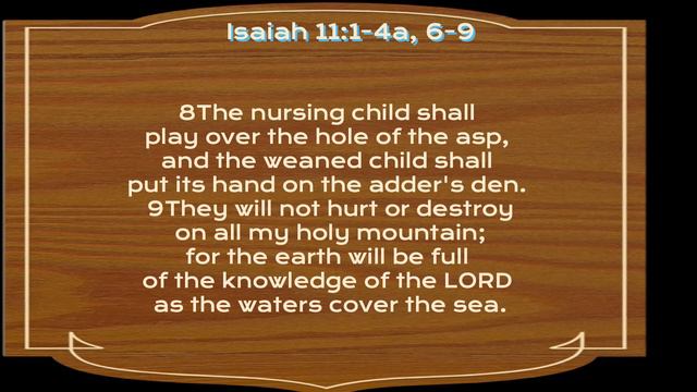 Acacia Park Lessons and Carols Christmas Eve 2020 смотреть онлайн