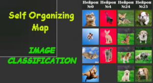 Классификация изображений. Самоорганизующаяся карта Кохонена. SOM. Neural network. Machine learning.