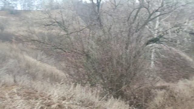 Ford ranger and Mitsubishi L200 УАЗ