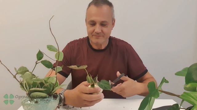 16. Czy warto zamawiać w Zagajnik.com.pl? Zobacz jakie jest łatwe podłoże dla wszystkich. смотреть онлайн