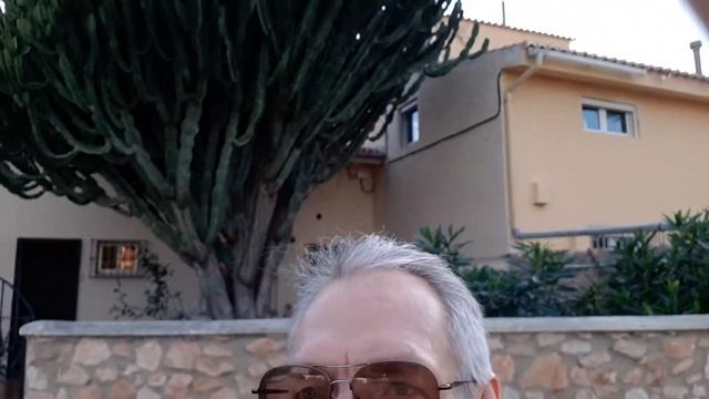 Кактусовое дерево! смотреть онлайн