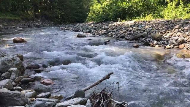 Шум воды горной реки Чвижепсе в Сочинском нацпарке – Fast stream water sound of the mountain river