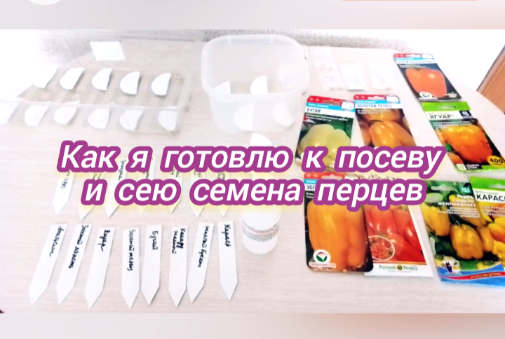 Как я готовлю к посеву и сею семена перцев. Мои небольшие секретики.