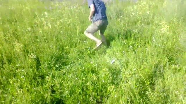 Разрушители мифоф. Первый выпуск.